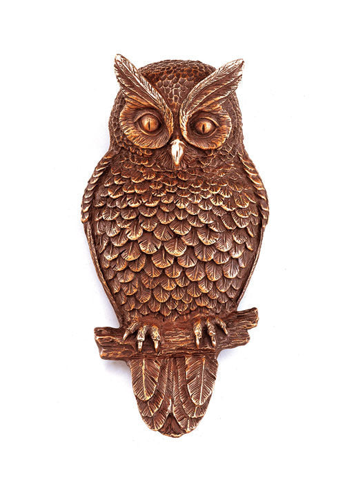 Owl Door Knocker Wise