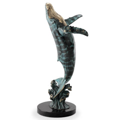 Large Humpback Whale - Seven Dolphins