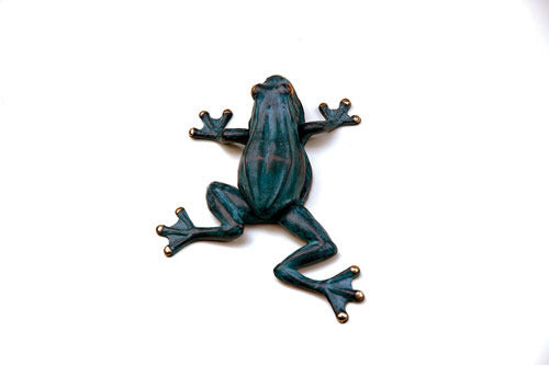 Frog Door Knocker Climbing