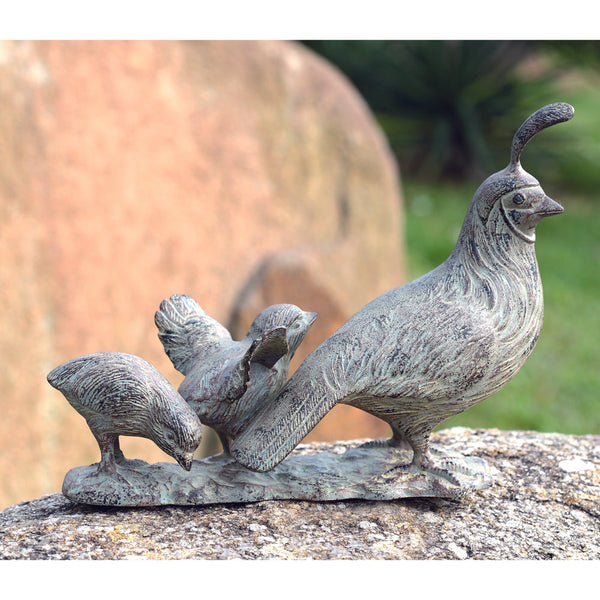 Quail Family - Seven Dolphins