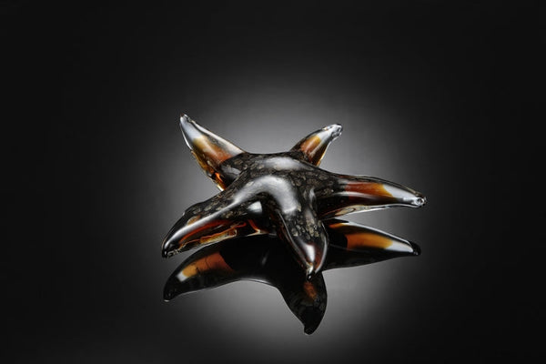 Starfish Art Glass Dark