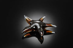 Starfish Art Glass Dark